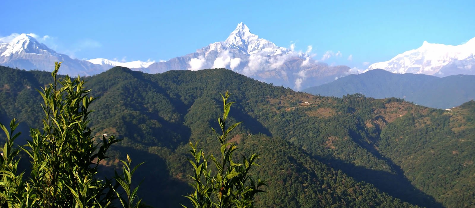 Kathmandu Chitwan Lumbini Pokhara Tour